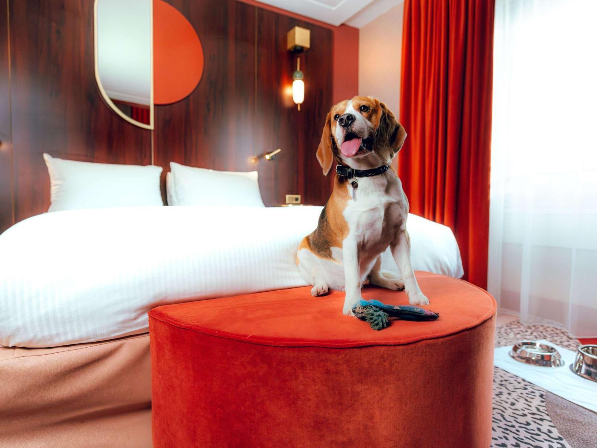Nest Hotel Paris La Defense - Mgallery Collection Puteaux Exterior foto A dog in a hotel room